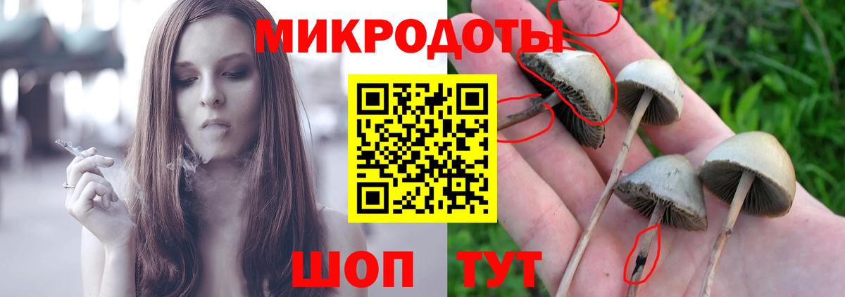 Псилоцибиновые грибы Psilocybine cubensis Нягань